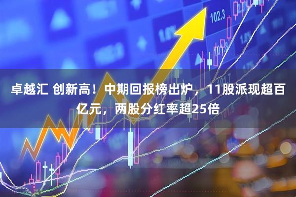 卓越汇 创新高！中期回报榜出炉，11股派现超百亿元，两股分红率超25倍